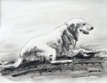Load image into Gallery viewer, Pet Portrait