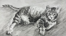 Load image into Gallery viewer, Pet Portrait