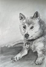 Load image into Gallery viewer, Pet Portrait