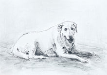 Load image into Gallery viewer, Pet Portrait